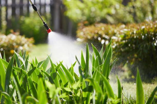 24/7 Emergency Ant Control experts in Metlakatla, AK